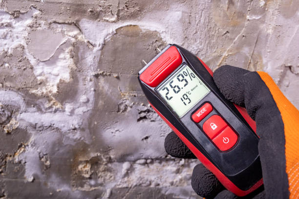 Best Office Mold Removal Services  in Thatcher, AZ